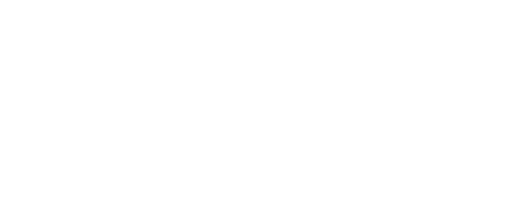 Vintara logo