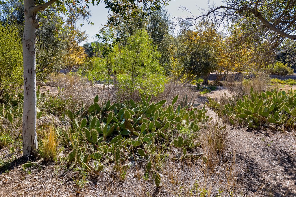 Vita Apartment Homes