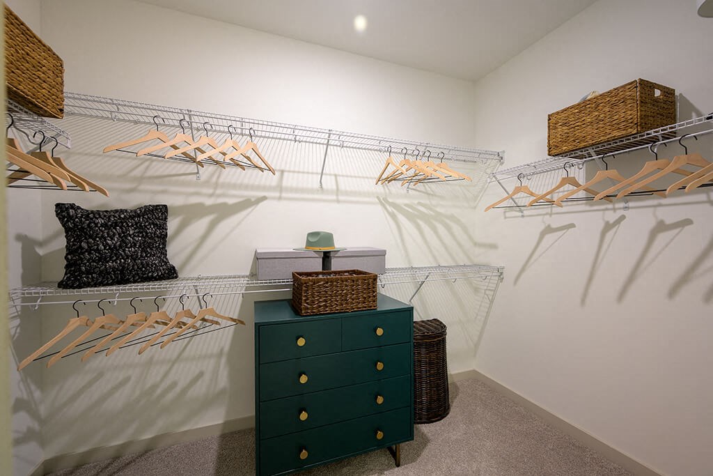 a closet in a bedroom with racks and a dresser