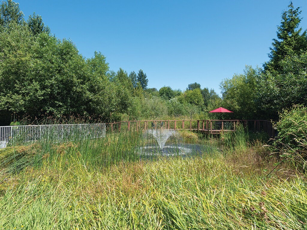 Walking path at Woodlands at Forbes Lake in Kirkland WA