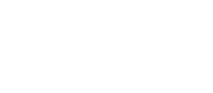 The Waylon Logo