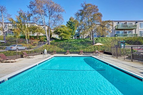 Pool at Baycliff Apartments in Richmond CA