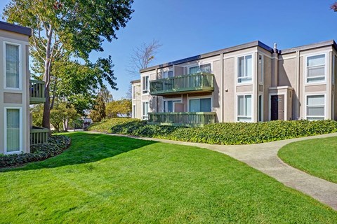 Outside lawn and walkway at Baycliff Apartments in Richmond CA