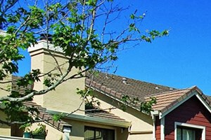 landscaping at Belmont Apartment Homes in Pittsburg, CA - Photo Gallery