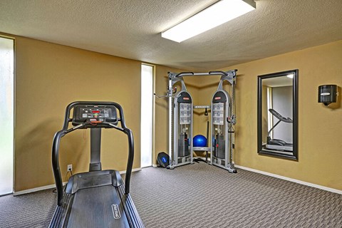 Fitness center at Turnleaf Apartments in San Jose CA