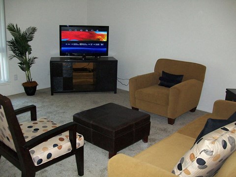 a living room with furniture and a television