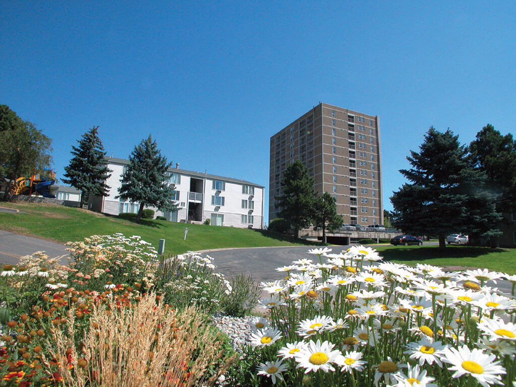 Open green space at Ridgemoor Apartment Homes in Lakewood CO
