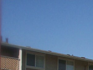tennis court for Timberleaf Apartments in Lakewood, CO