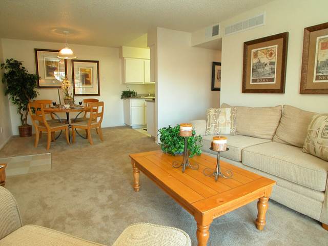 1-bedroom apartment at Timberleaf Apartments in Lakewood, CO