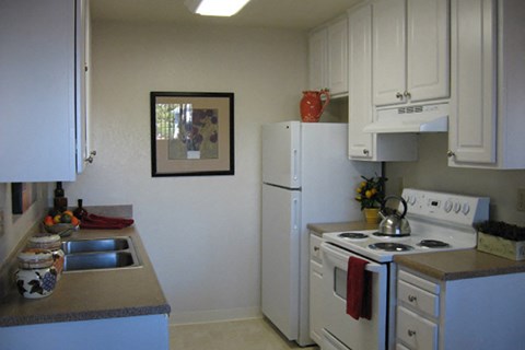 a kitchen with a stove refrigerator and a sink