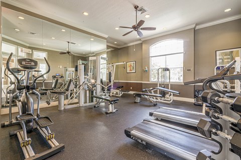 A spacious gym with a variety of equipment including treadmills, weights, and a bench.