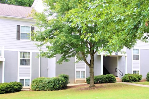 A tree in front of a grey apartment building at Woodside Village Apartments, Clarkston, Georgia