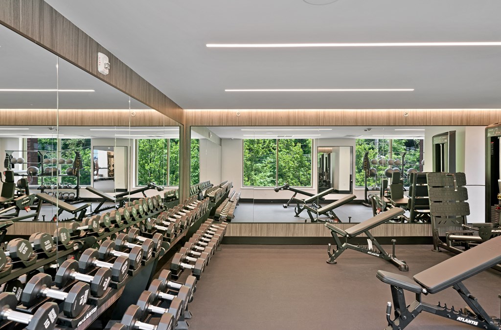 a gym with rows of treadmills and cardio machines