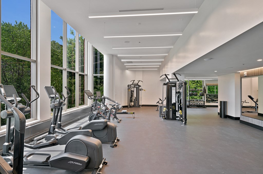the gym has plenty of exercise equipment and large windows