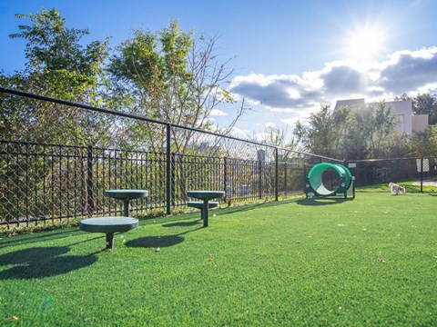 A gated dog park with agility equipment and astro turf near trees at Riello Edgewater.