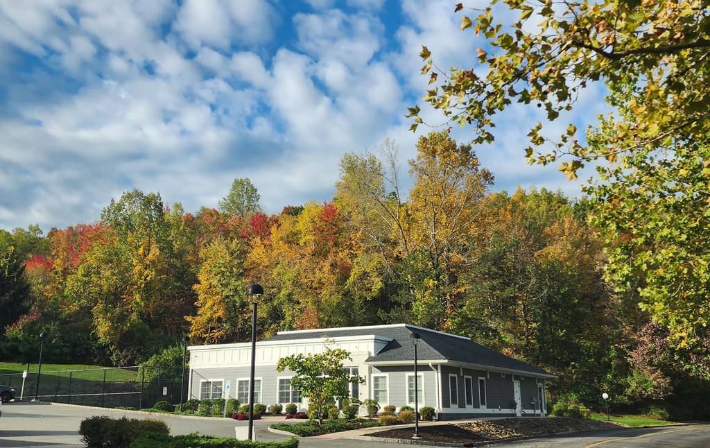 A house with a grey roof and white walls is surrounded by trees with autumn leaves.