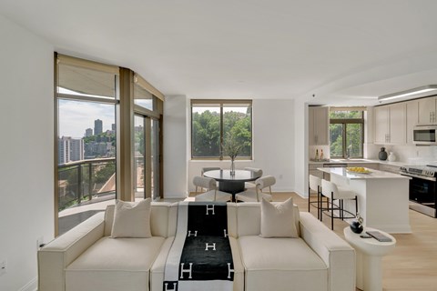 A modern living room with a white couch and a black and white rug.