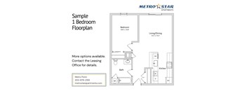 A floor plan for a 1 Bedroom Apartment is shown for Metro Star Apartments.