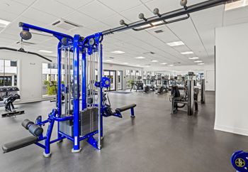 A gym with a blue weight machine in the foreground.