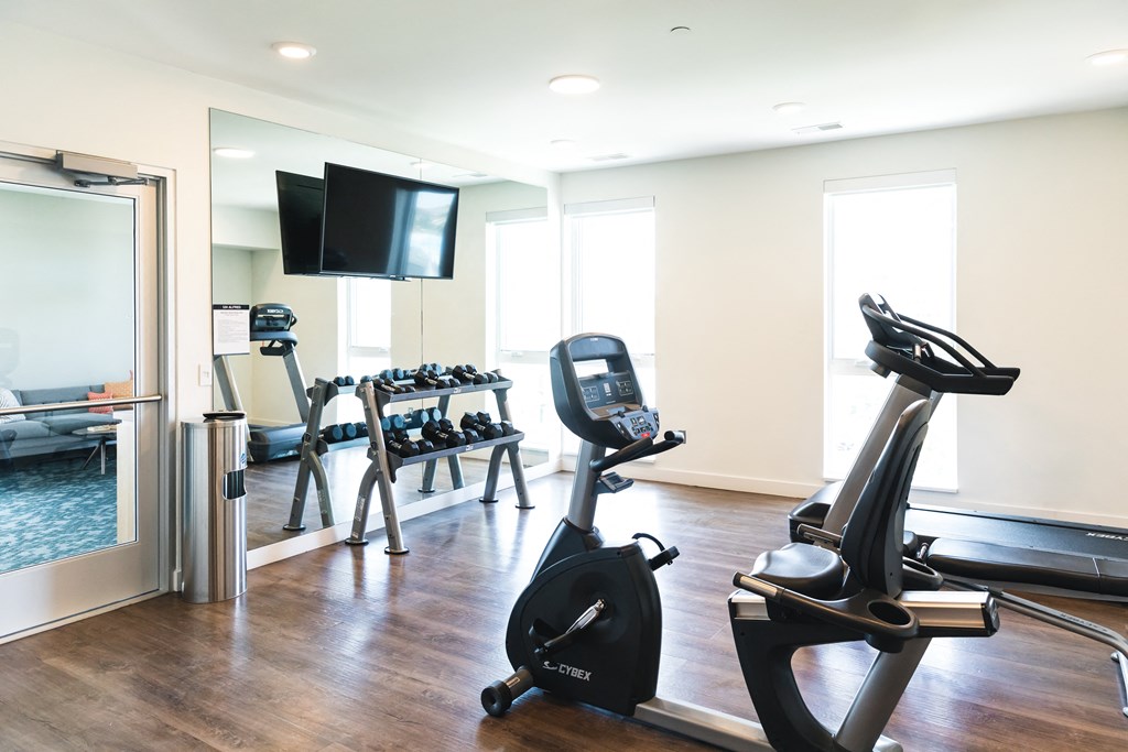 A room with a treadmill, a stationary bike, and a television.