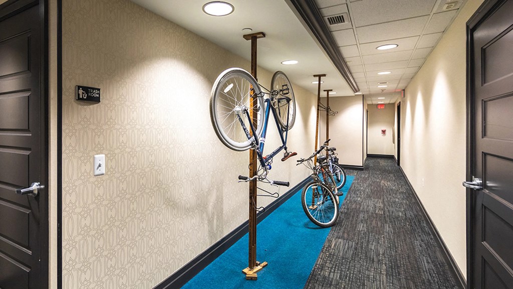 Bike stand1 at The Malcomson, Michigan