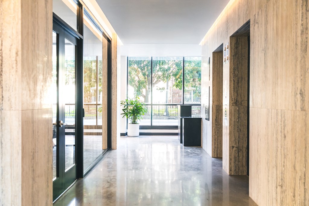 A long hallway with a black door on the left and a plant in a white pot on a table in the middle.