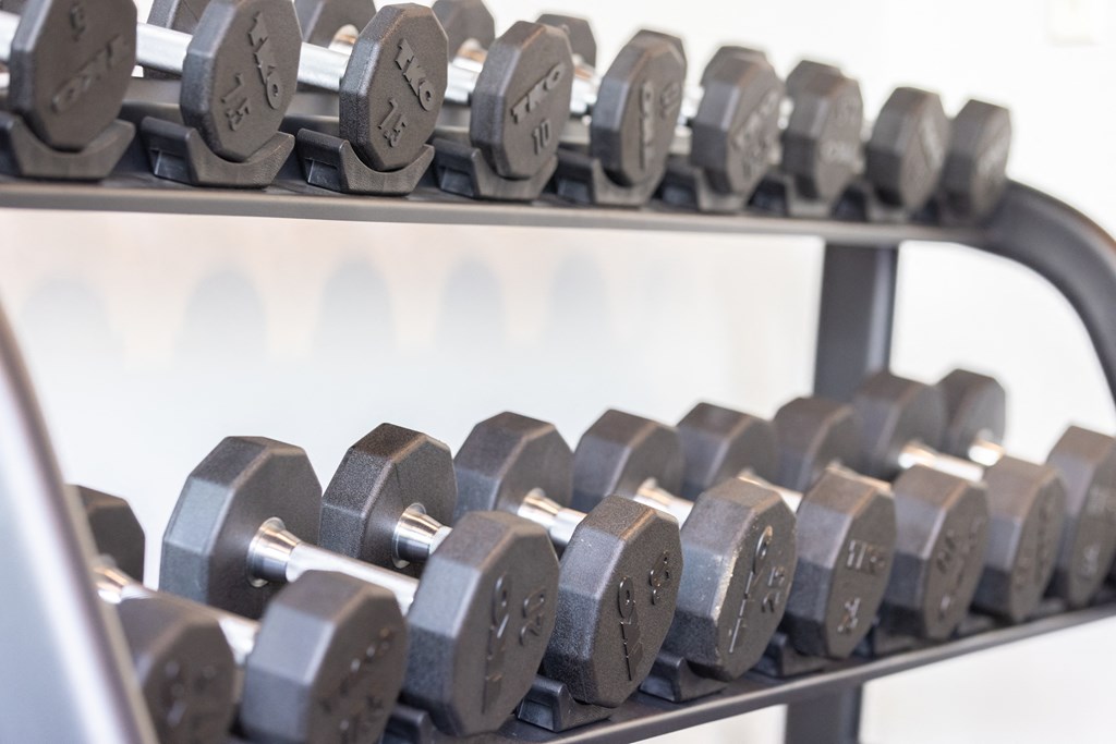 a row of weights in a gym