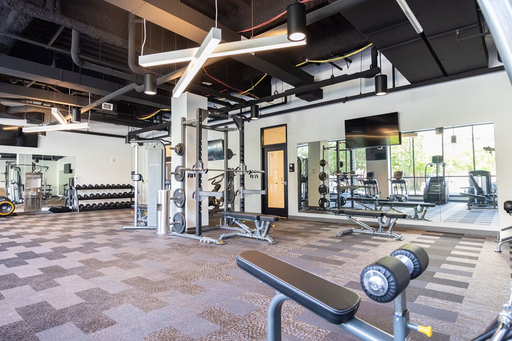 A gym with a variety of equipment including a squat rack, dumbbells, and a bench.