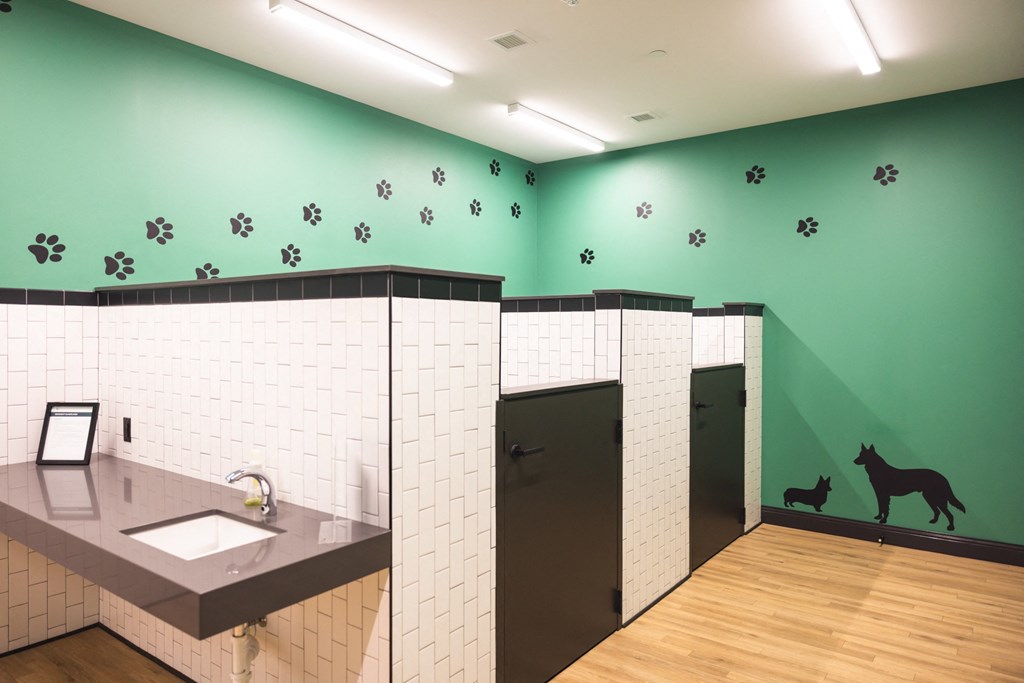 Communal pet wash station with green walls, separate stalls, and animal graphics at The May.