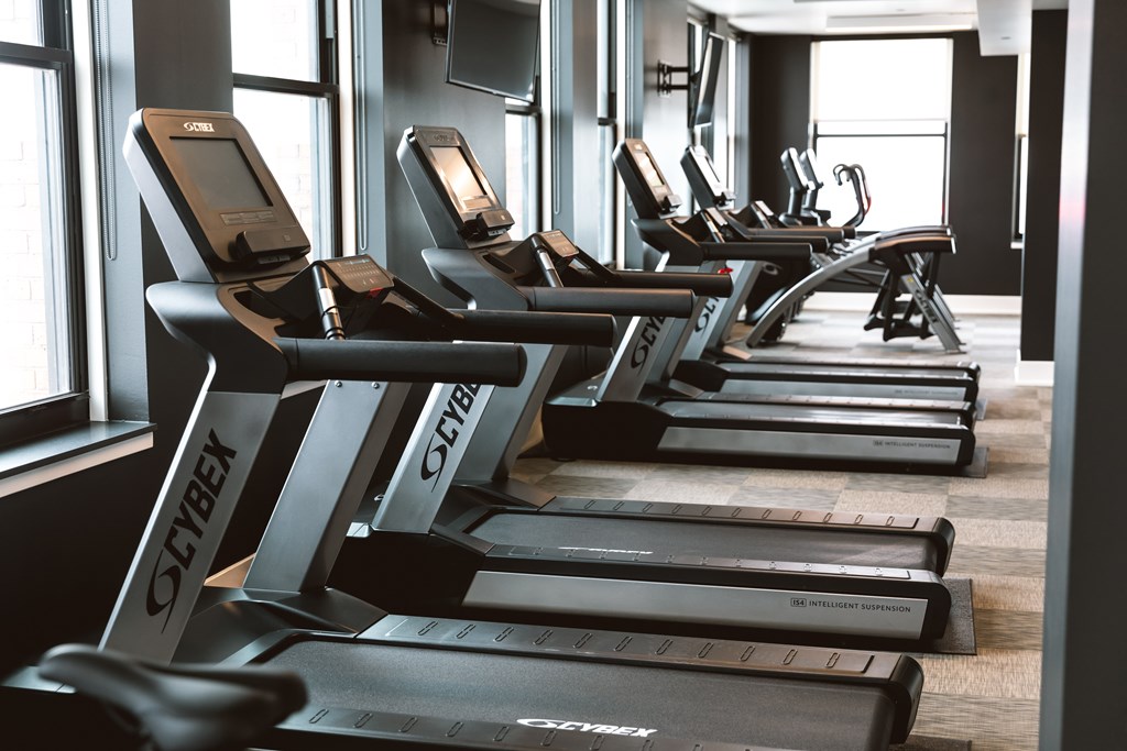 The Stott fitness center with a row of treadmills.