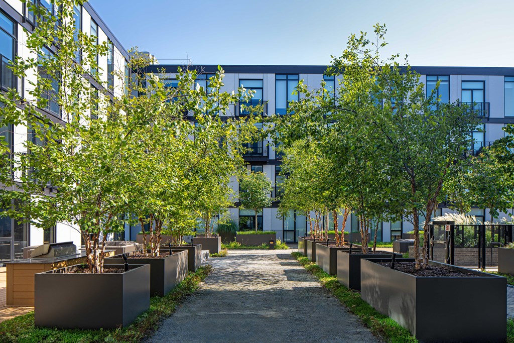 city-mews-city-modern