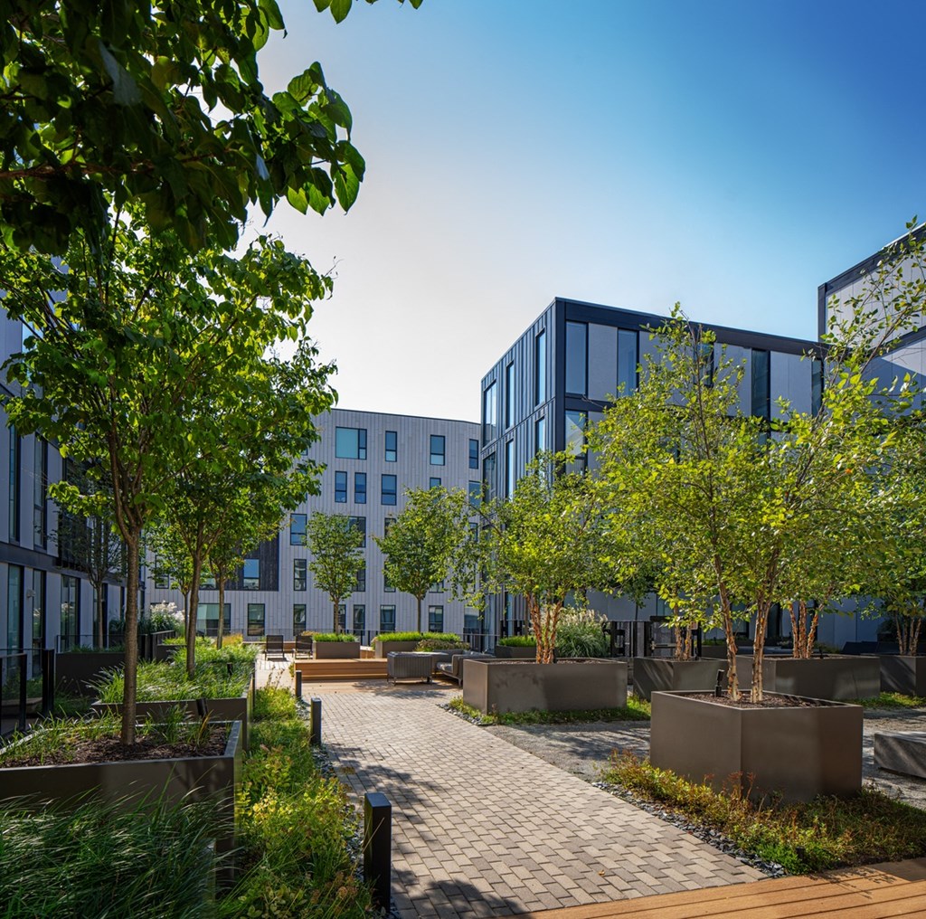 a courtyard with trees and buildings in the background