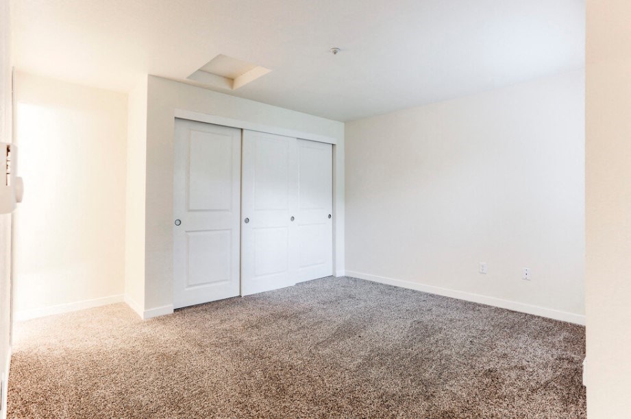 A room with a carpeted floor and two white doors.