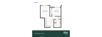 A floor plan for a 534 square foot one bedroom/one bathroom apartment.