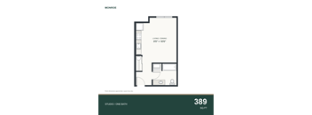 A floor plan for a 389 square foot studio apartment with one bath.