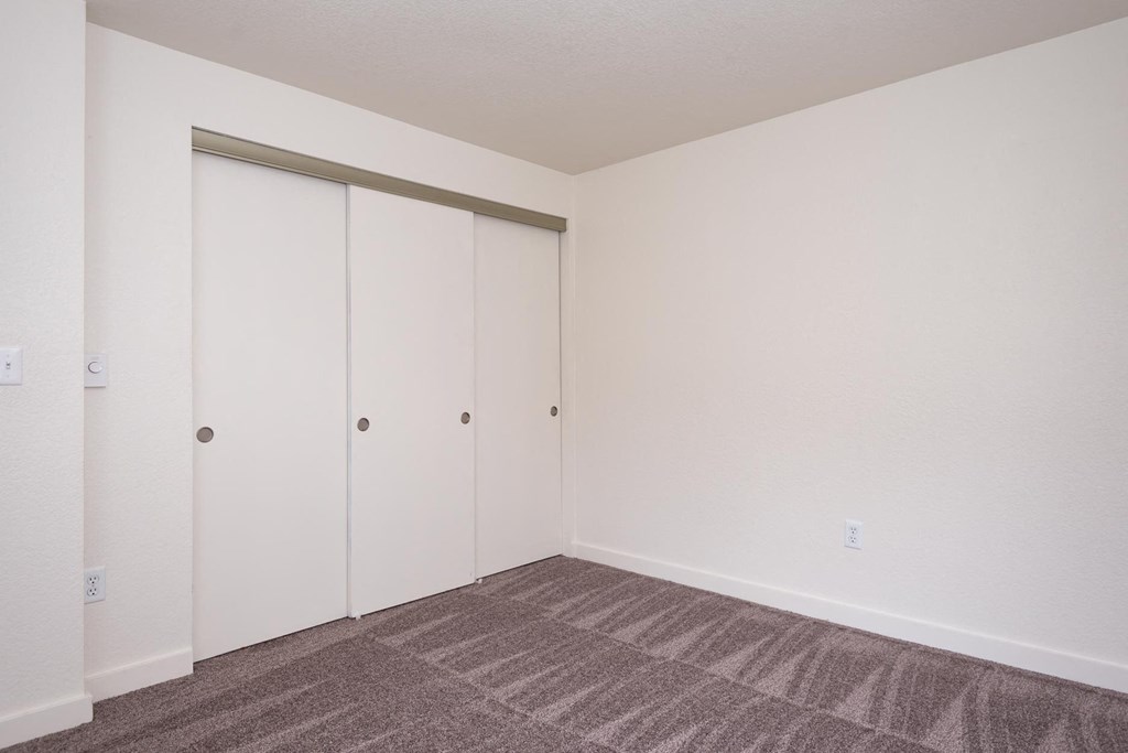 A room with a carpeted floor and a white wall with a white closet door.