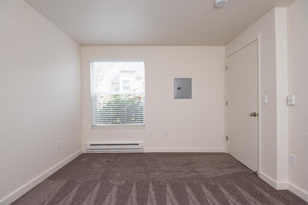 A room with a carpeted floor and a window with blinds.