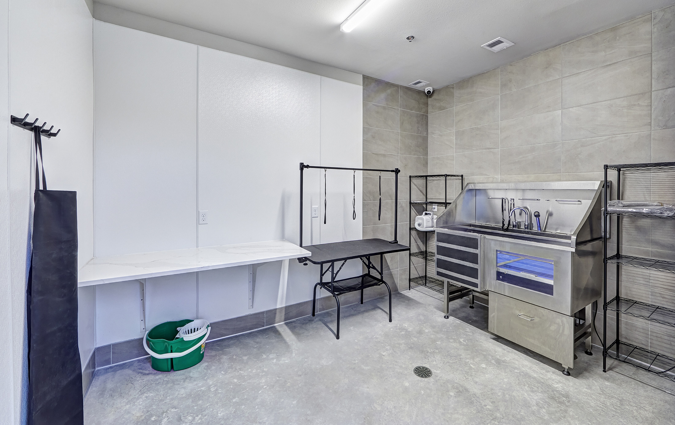 Pet Washing Station