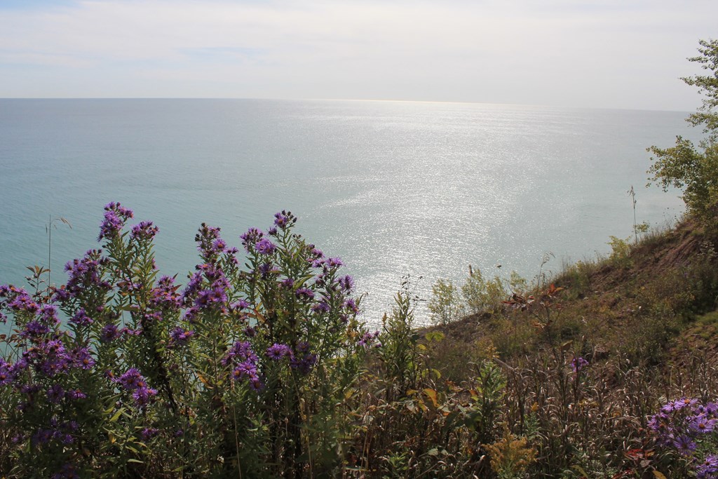 a view of the ocean from a hill with purple flowers at The Daniels at Northern Gateway Apartments, Saukville, 53080