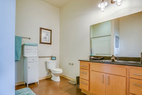 Large Bathroom