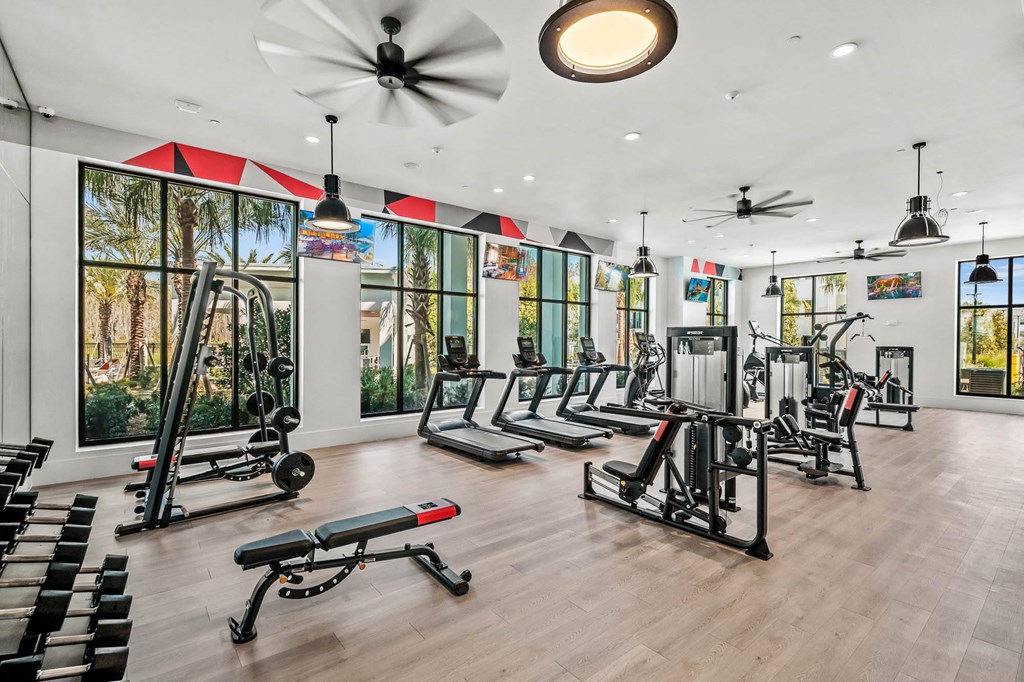 the gym is equipped with a variety of exercise equipment