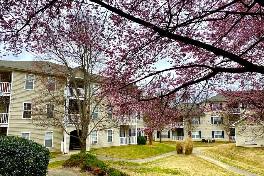a row of apartment buildings with flowering trees