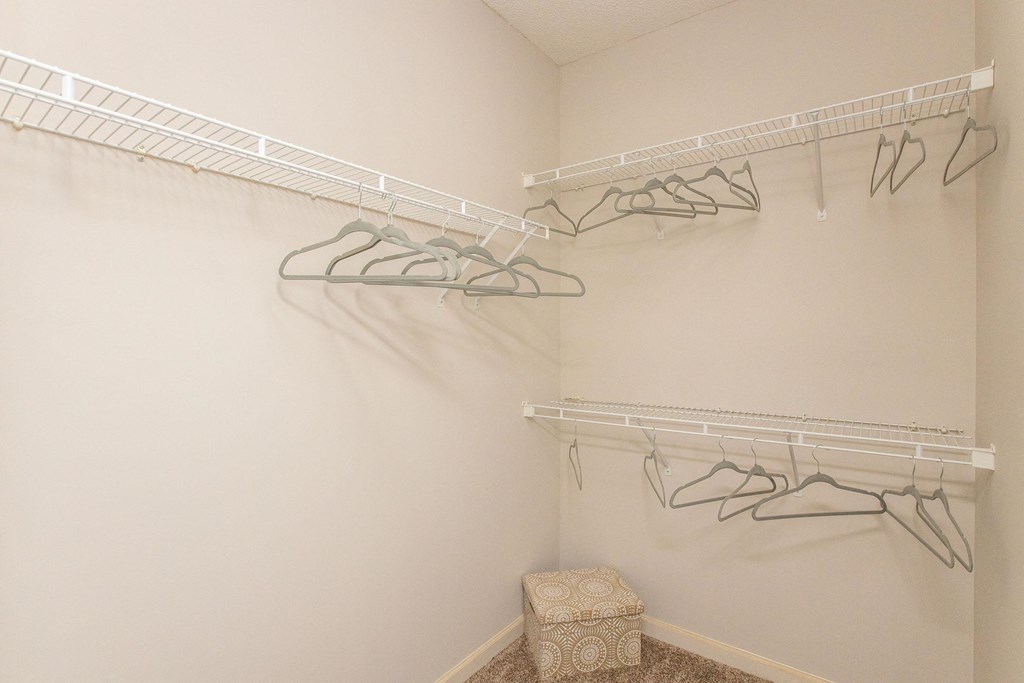 Scenic Ridge Closet