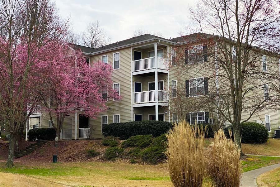 an apartment building with a pink flowering tree