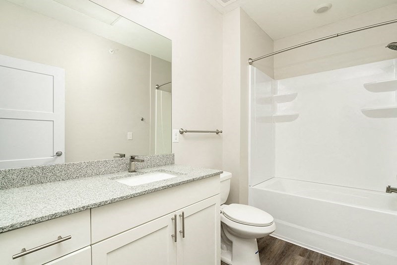 a bathroom with a sink and a shower and a mirror