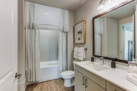 a bathroom with a sink and a toilet and a shower