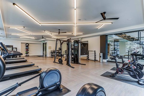 the gym is equipped with weights and cardio equipment