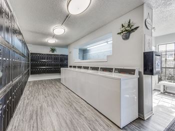 The Springs 1100   Laundry Room