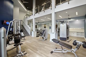 A gym with a variety of equipment including a treadmill, weights, and a bench press.