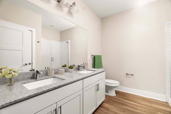 A bathroom with a double sink vanity and a toilet.